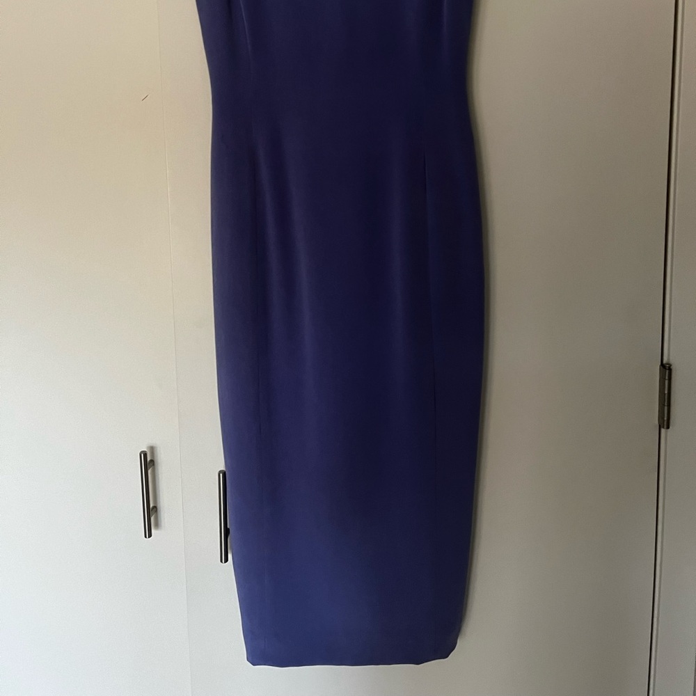 Dana Bachman long sleeveless dress.